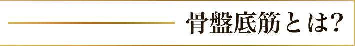 骨盤底筋とは?